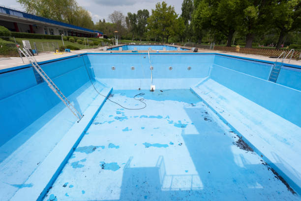 Best Professional water damage repair  in Parker City, IN