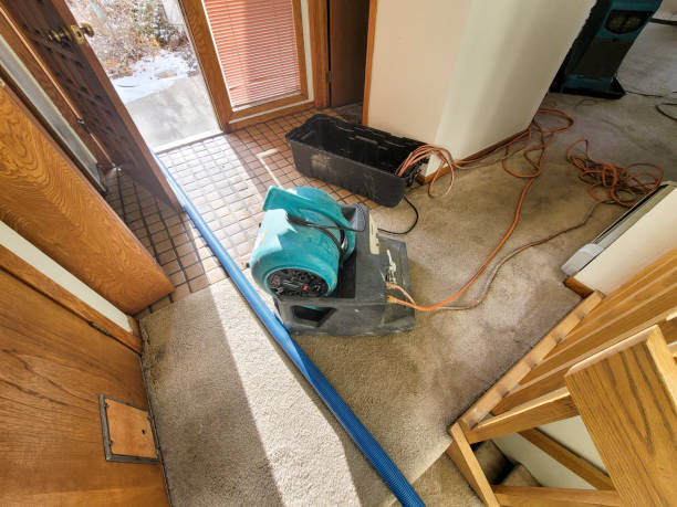 Best Local water damage restoration  in Parker City, IN