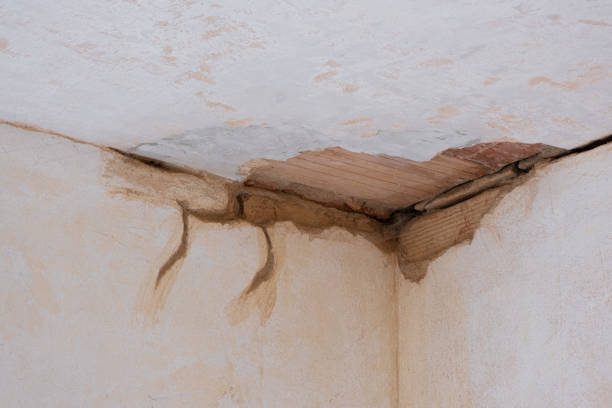 Best Emergency water damage restoration  in Parker City, IN