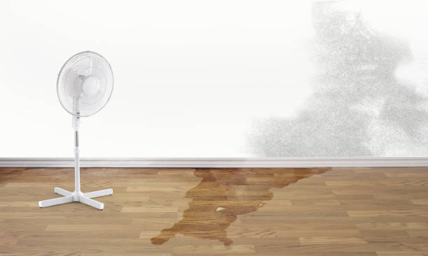 Best Emergency water damage restoration  in Parker City, IN