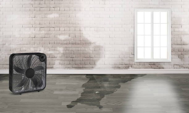 Best Fire Damage Restoration  in Parker City, IN