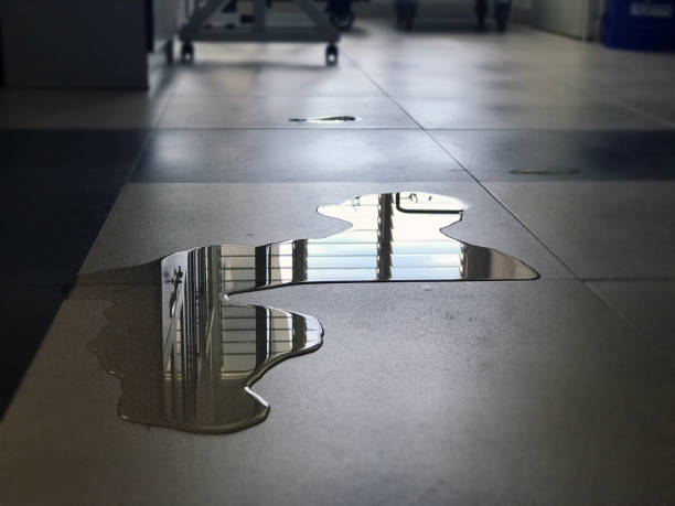 Best Water damage contractors near me  in Parker City, IN