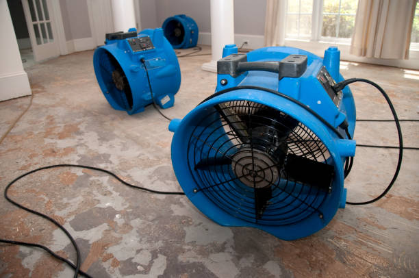  Parker City, IN Water damage restoration Pros