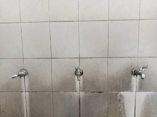 Best Ceiling water damage repair  in Parker City, IN