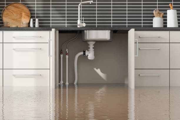Best 24-hour water damage restoration  in Parker City, IN