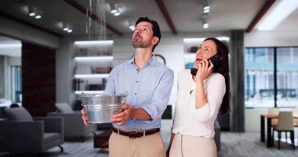 Best Fire Damage Restoration  in Parker City, IN