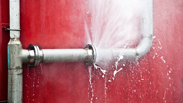 Best 24/7 water damage repair  in Parker City, IN
